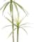 4ft. Yucca Faux Plant in Woven Basket by Ashland®